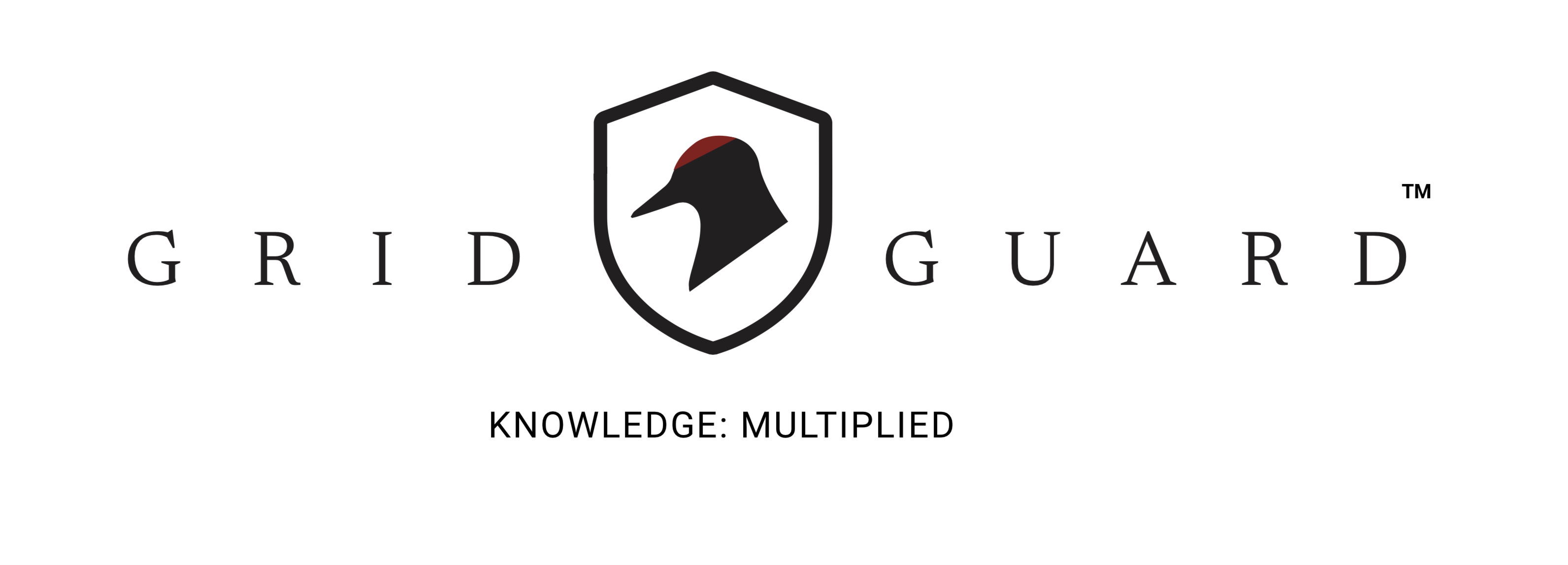 Gridguard full logo